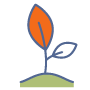 crop loan