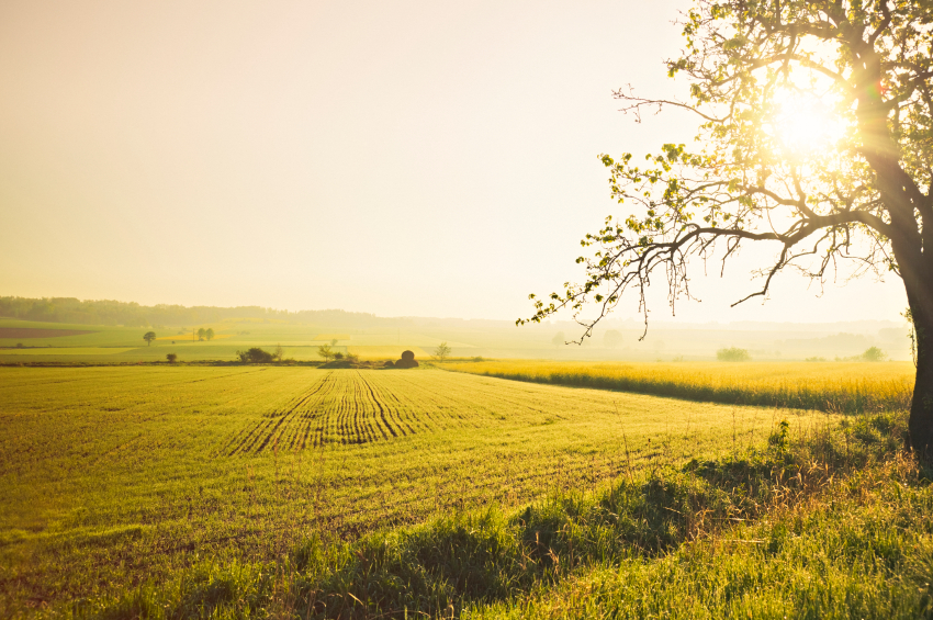 Farm & Recreational Loans